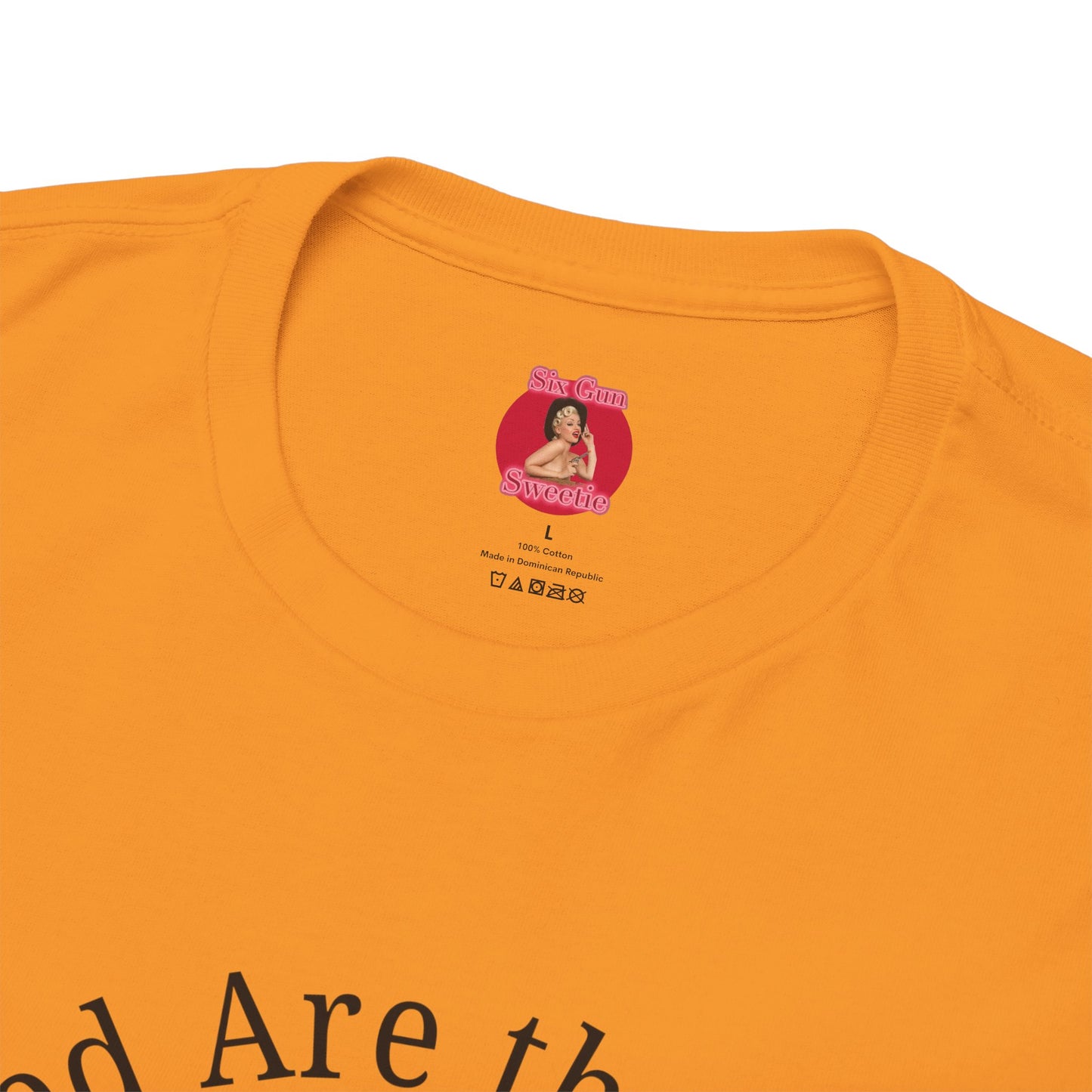Blessed are the Bigots, Said no one ever! Jesus Tee