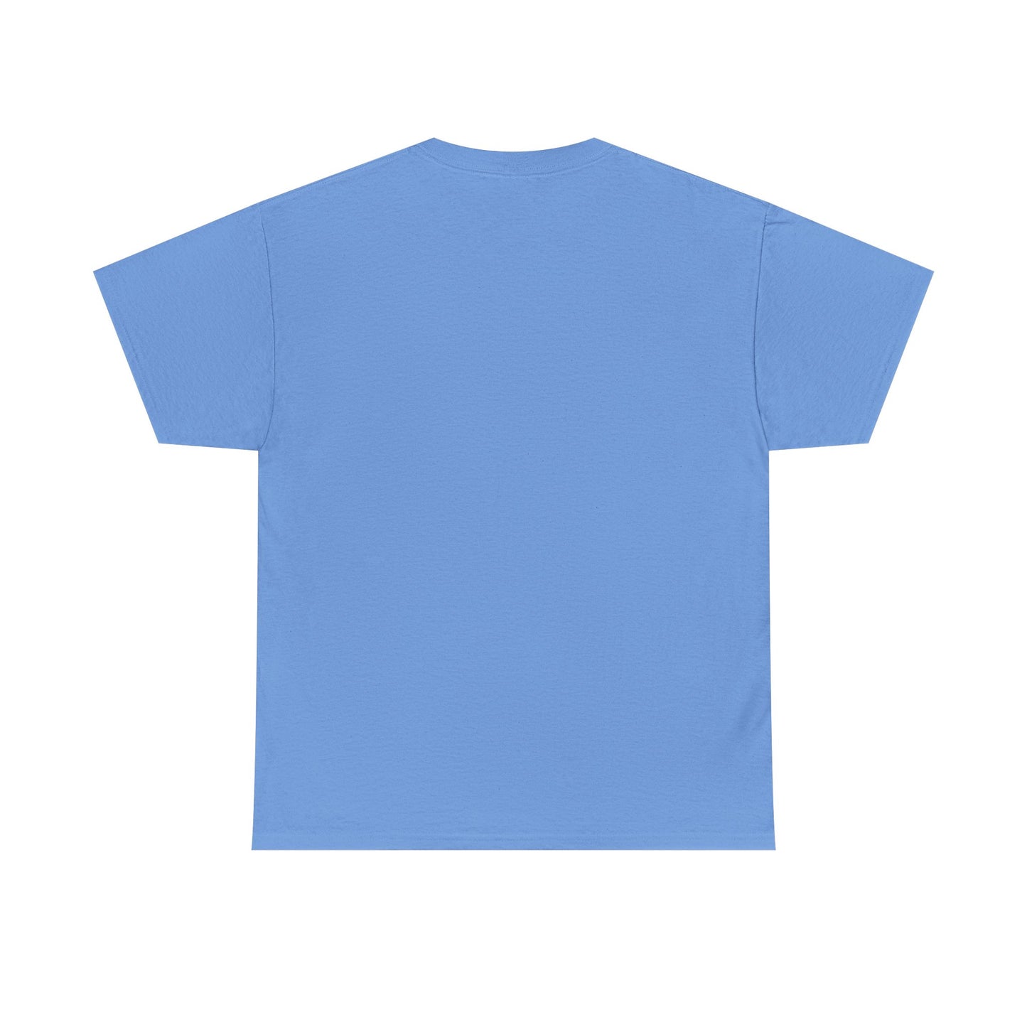 Delay Deny Depose T-shirt Tee, Protest Mayhem 2025, Robert Paulson