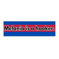 Eye-Catching Bumper Stickers - Bold Statement Decals for Cars, Humor Stickers, Political Bumper Art, Fun Car Accessories, Conversation [...]
