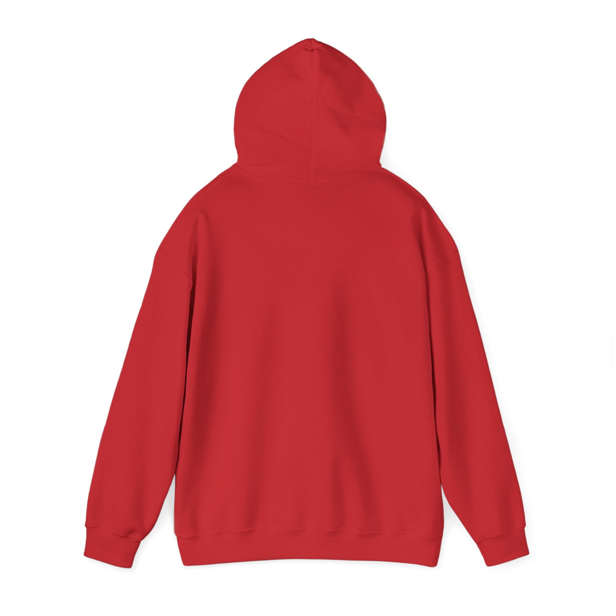 Hooded Sweatshirt 'Fragile like a Bomb' Female Empowerment Y2K Design