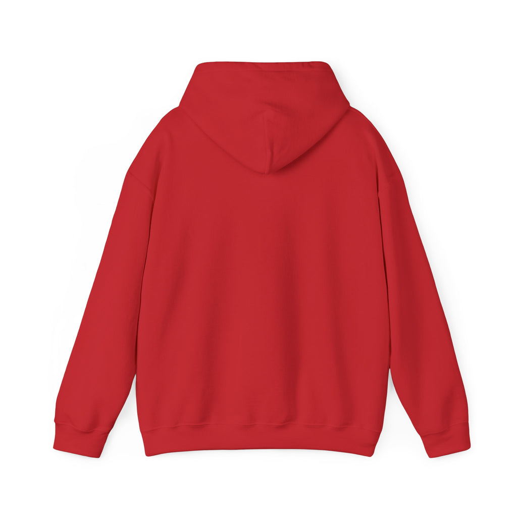 Hooded Sweatshirt 'Fragile like a Bomb' Female Empowerment Y2K Design