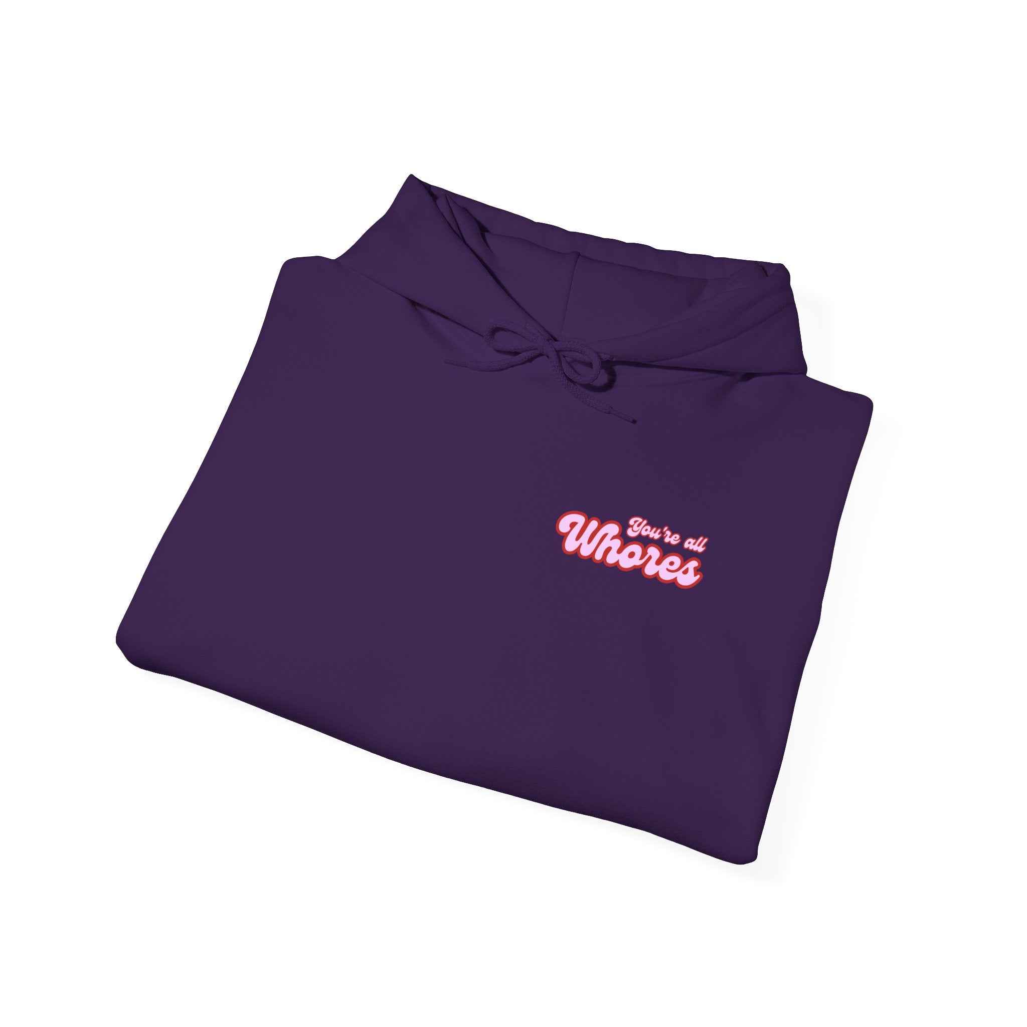 Hooded Sweatshirt- You're all whores