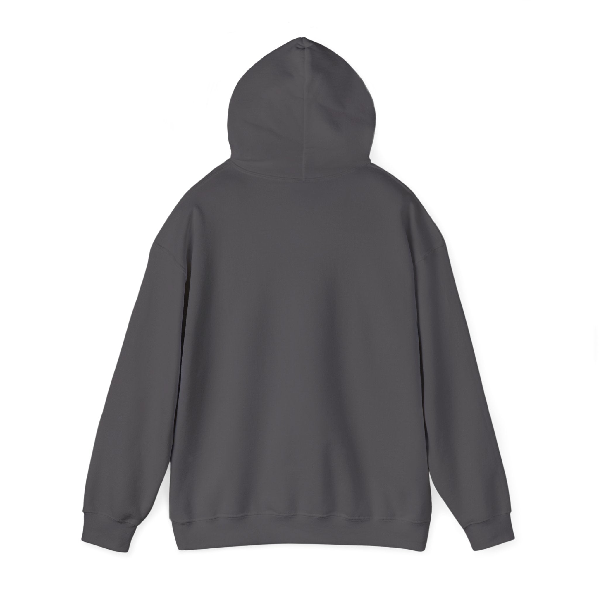 Hooded Sweatshirt- You're all whores